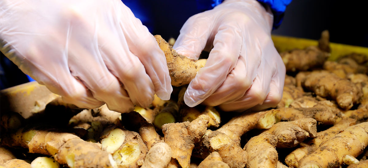 現(xiàn)場工作展示